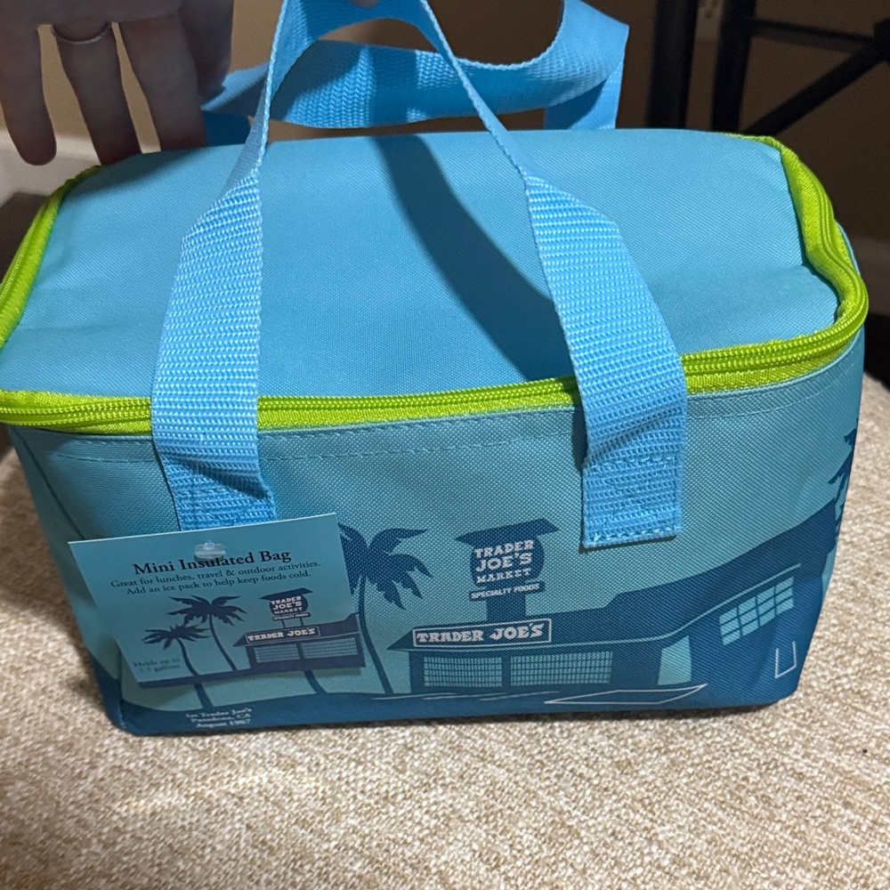 Trader Joe's Blue and Green Mini Insulated Bag